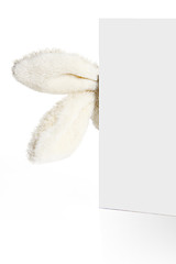 Image showing Rabbit ears look out from behind a white paper