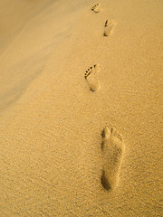 Image showing Footprint at the beach