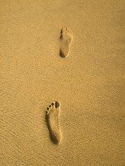 Image showing Footprint at the beach