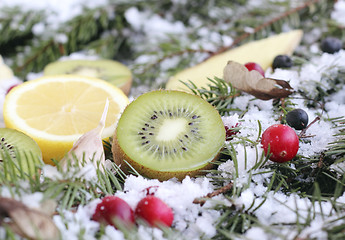 Image showing Fruit on snow