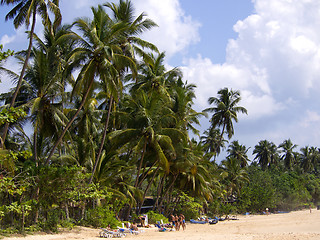 Image showing Beautiful landscape at the beach 