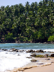 Image showing Beautiful landscape at the beach 