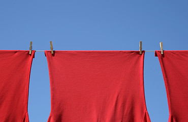 Image showing Red t-shirts on a clothes-line