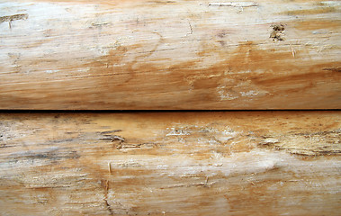 Image showing Bright wooden logs