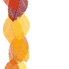 Image showing Dry autumn leaves template. EPS 10