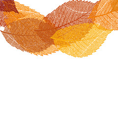 Image showing Dry autumn leaves template. EPS 10