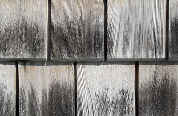Image showing Wooden tiles background