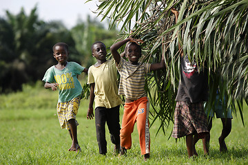 Image showing African kids help with carring palm leaves