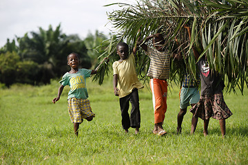 Image showing African kids help with carring palm leaves