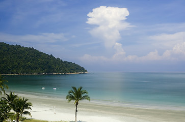 Image showing Tropical beach

