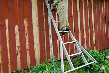 Image showing housepainter man on ladder paint garden house wall 