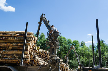 Image showing Man load felled trees logs with crane to trailer 