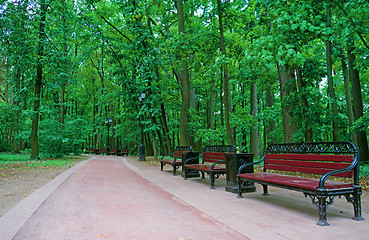 Image showing Several benches along a walkway in a summer park