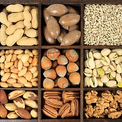 Image showing Nut variety