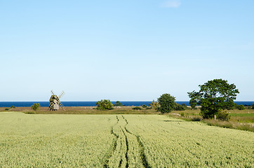 Image showing Rural landscape with windmill and corn field