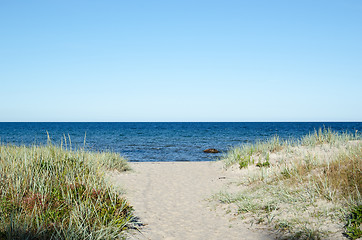 Image showing Pathway to the beach of Baltic Sea at the swedish island Oland