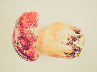 Image showing Retro look Porcini Mushroom