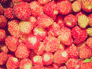 Image showing Retro look Strawberries