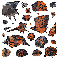 Image showing Sea shells set.