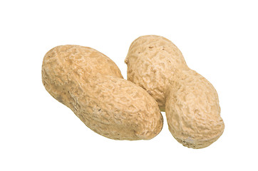 Image showing Peanuts