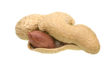 Image showing Fresh peanuts detail