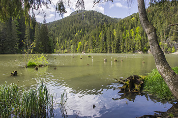Image showing Beautiful lake in forest
