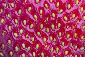 Image showing Strawberry background