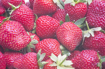 Image showing Ripe strawberries