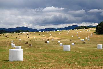 Image showing czech autumn country with straw bales 