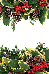 Image showing Winter Floral Border