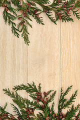 Image showing Cedar Cypress Border