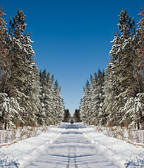 Image showing Winter Road