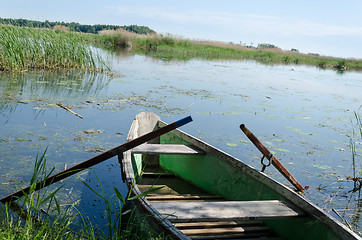Image showing old  fishing boat with oars to high grass coast  