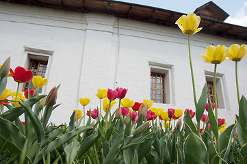 Image showing Walls and flowers