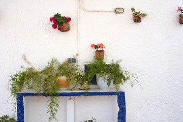 Image showing Wall decorated with flowers in pots