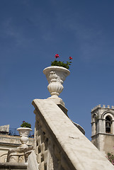 Image showing   rail with flower pot