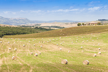 Image showing Tuscany country