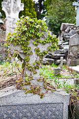 Image showing Cemetery architecture - Europe