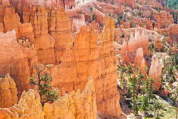 Image showing Bryce Canyon