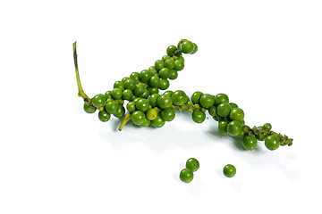 Image showing green peppercorn