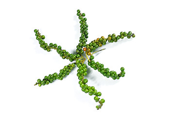 Image showing green peppercorn