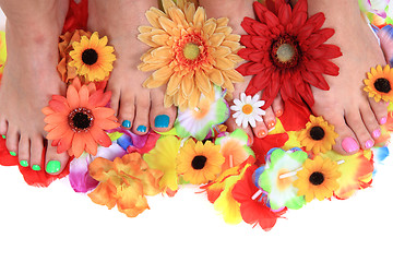 Image showing woman legs (pedicure - colored nails)