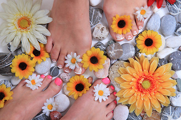 Image showing woman legs (pedicure - colored nails)