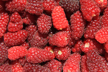 Image showing big red raspberries background