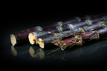 Image showing sugar cane