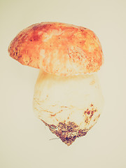 Image showing Retro look Porcini Mushroom