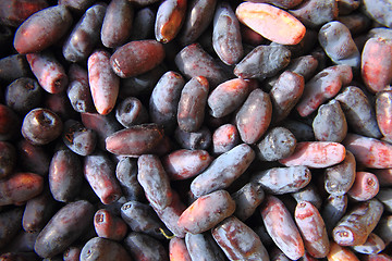 Image showing Honeysuckle berries