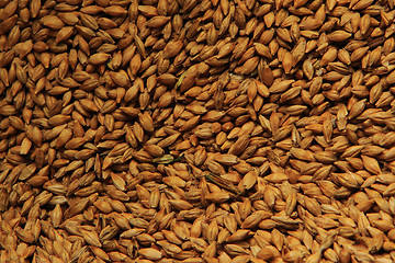Image showing barleycorn background
