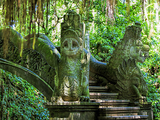 Image showing Ubud Monkey Forest