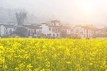 Image showing China country side